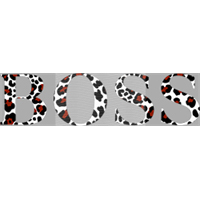 Brand Catalog-ZX 670